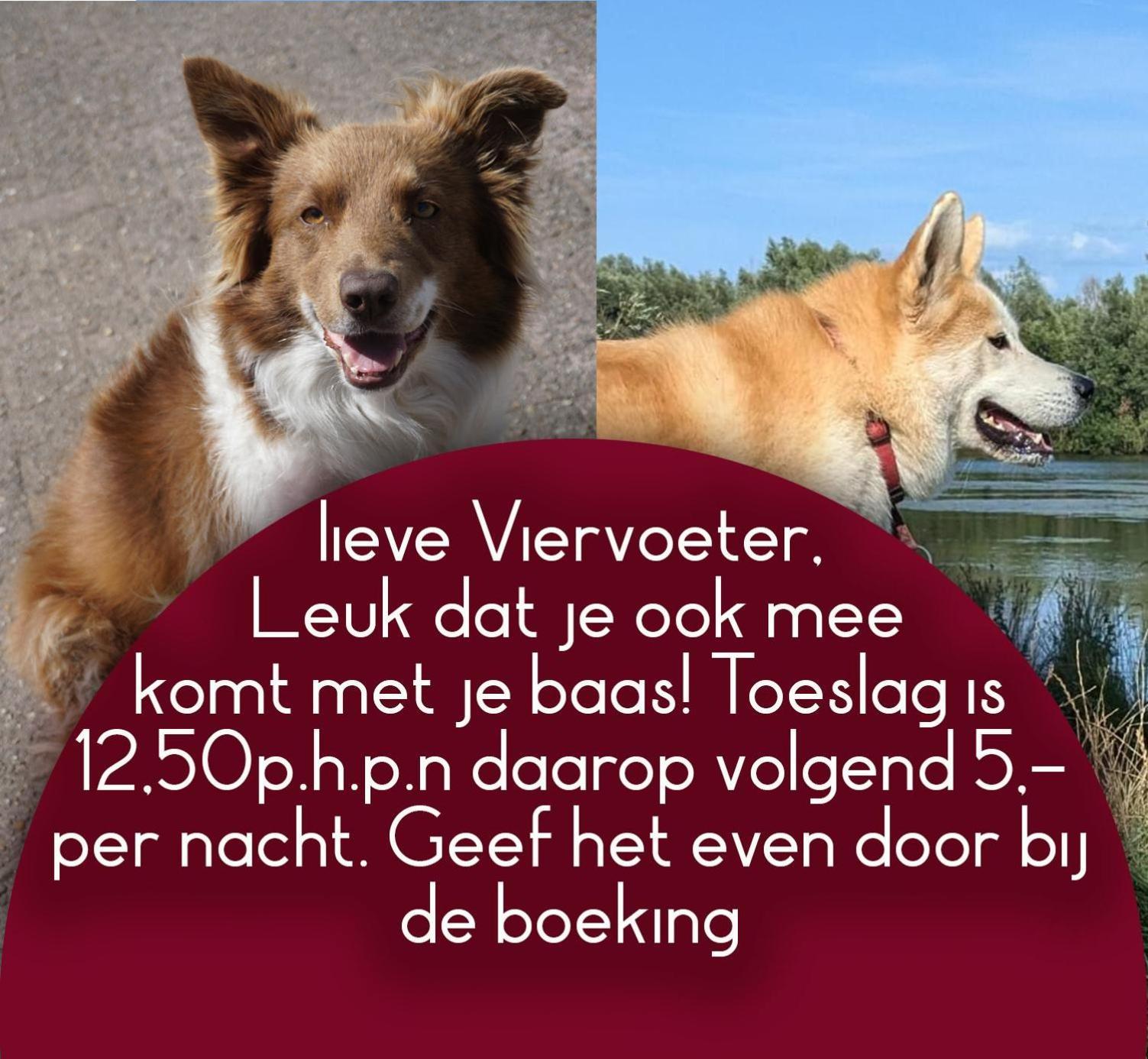 B&B Het Gelders Buitenleven Overasselt Exterior photo